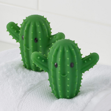 cactus 8