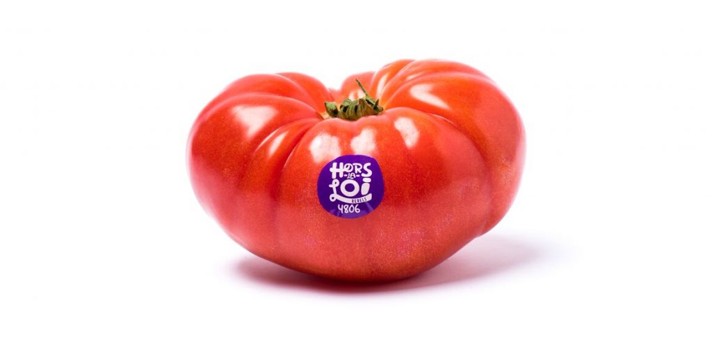 hors-la-loi-Tomate
