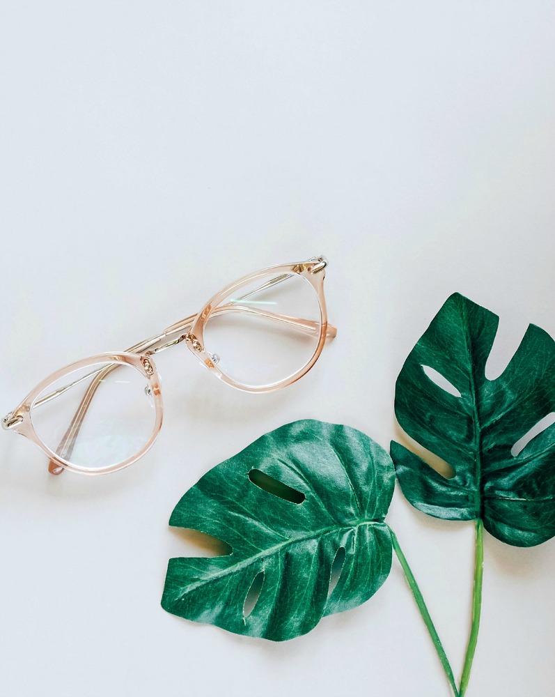 Minimalisme, lunettes et feuilles