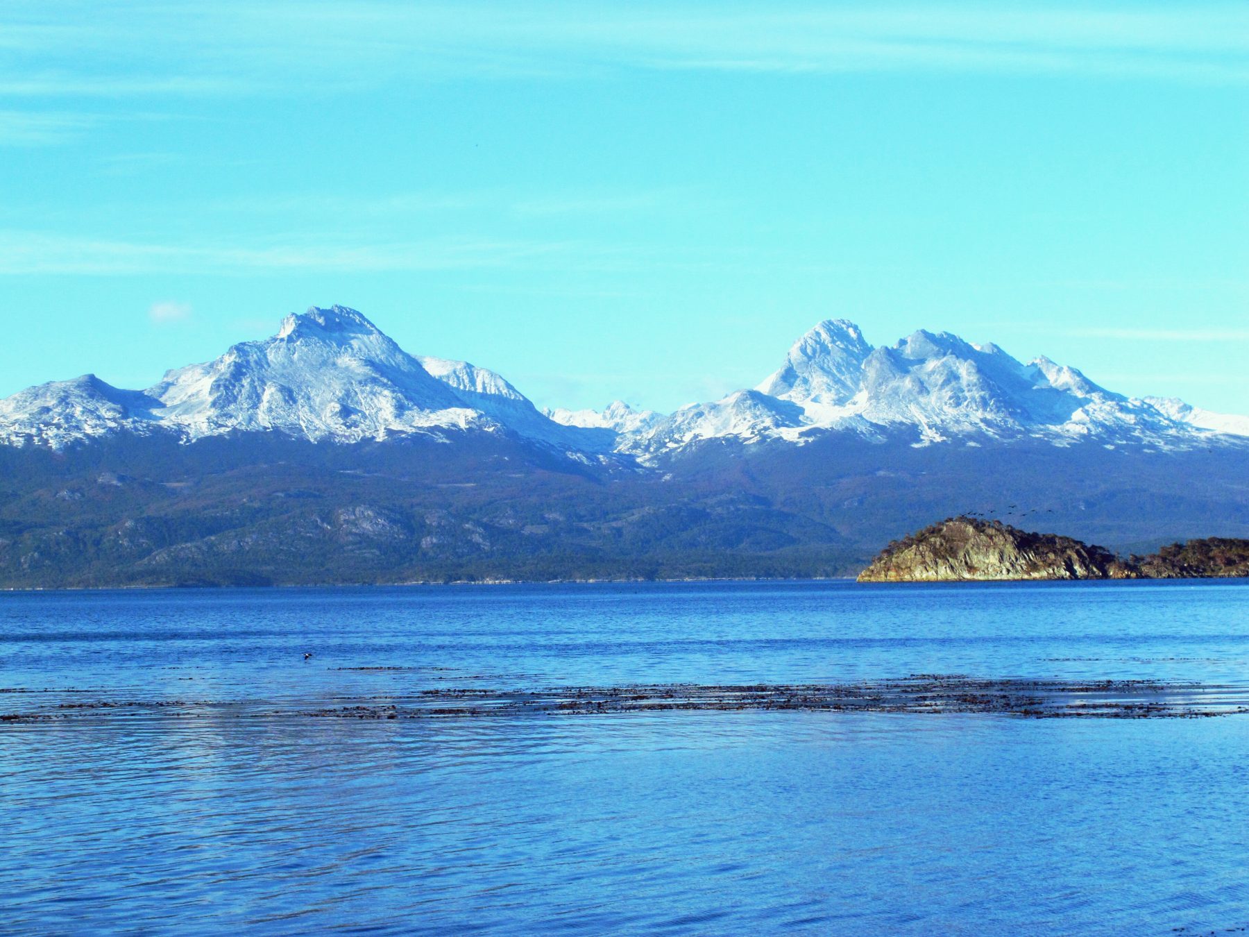 Les Andes enneigées vues du parc Tierra del Fuego à Ushuaia