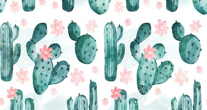 cactus cover