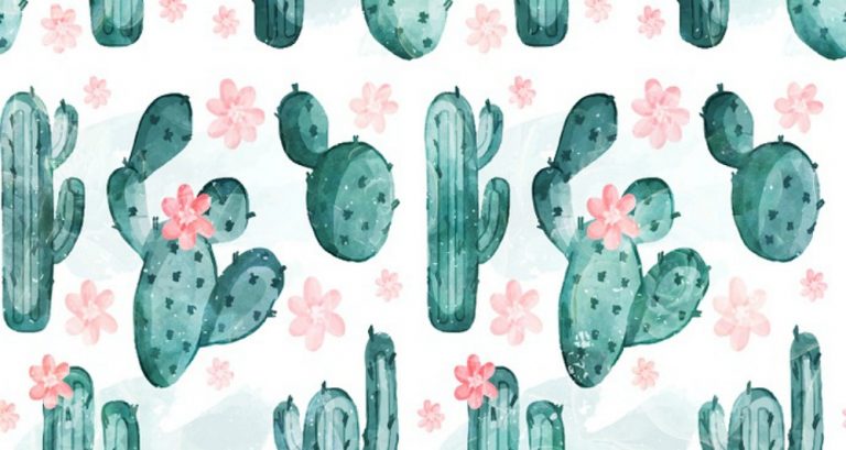La folie des cactus – 13 items pour mettre du piquant dans ta vie!
