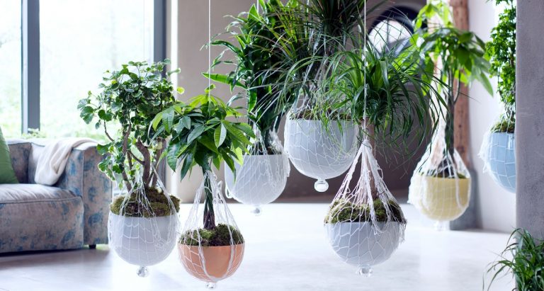 5 façons originales d’intégrer des plantes à ton décor