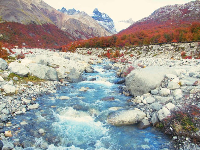 Patagonie argentine : un vrai spectacle de la nature