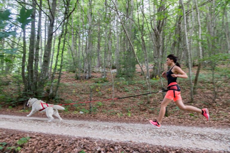 Canicross – le plaisir de courir avec son chien
