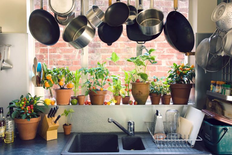 Jardin intérieur – comment faire pousser vos légumes dans la maison