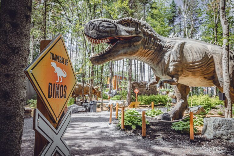 Woodooliparc : l’activité par excellence pour les fans de dinosaures!